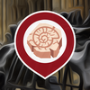 Project icon