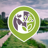 Project icon