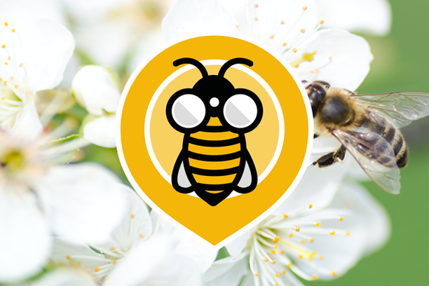Image for Spot-a-Bee