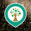 Project icon