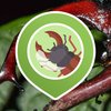 Project icon