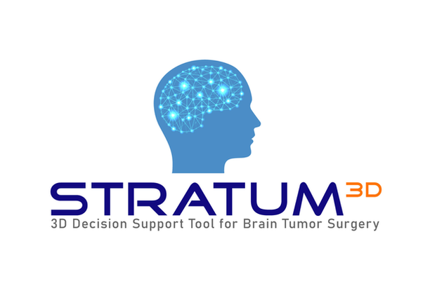 Image for STRATUM