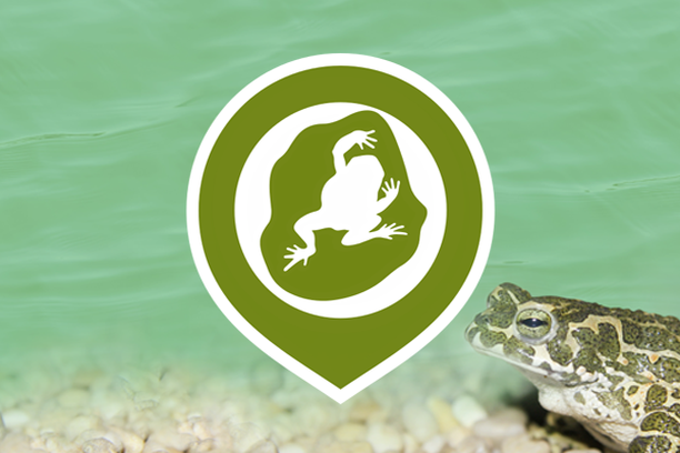 Image for AmphiApp