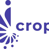 Project icon