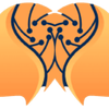 Project icon