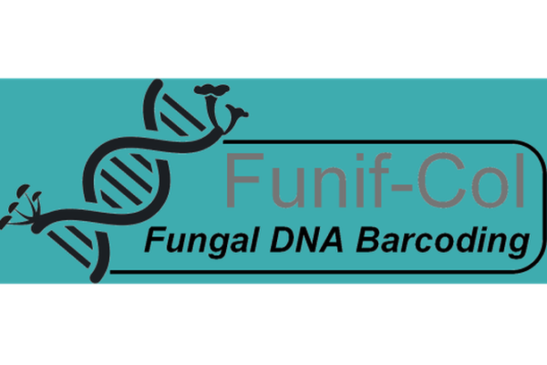 Image for Funif-Col
