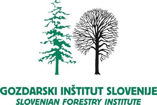 Image for Boletus informaticus