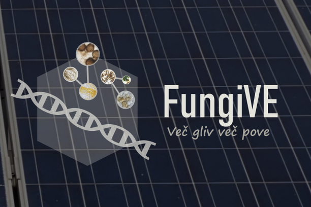 Image for More fungi, more information (FungiVE)