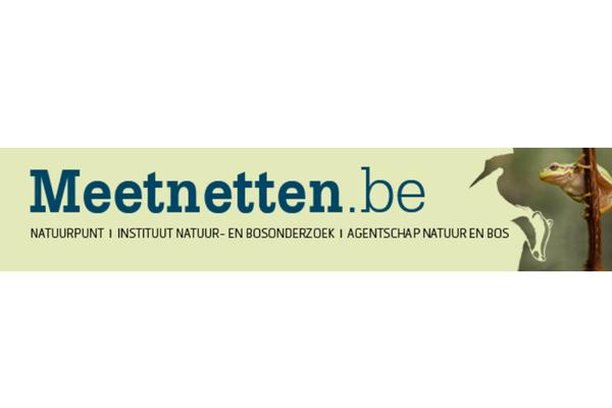 Image for Species Monitoring Schemes (Soortenmeetnetten)