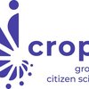 image for CROPS Scaling Resources for the EU Missions