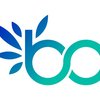 Project icon